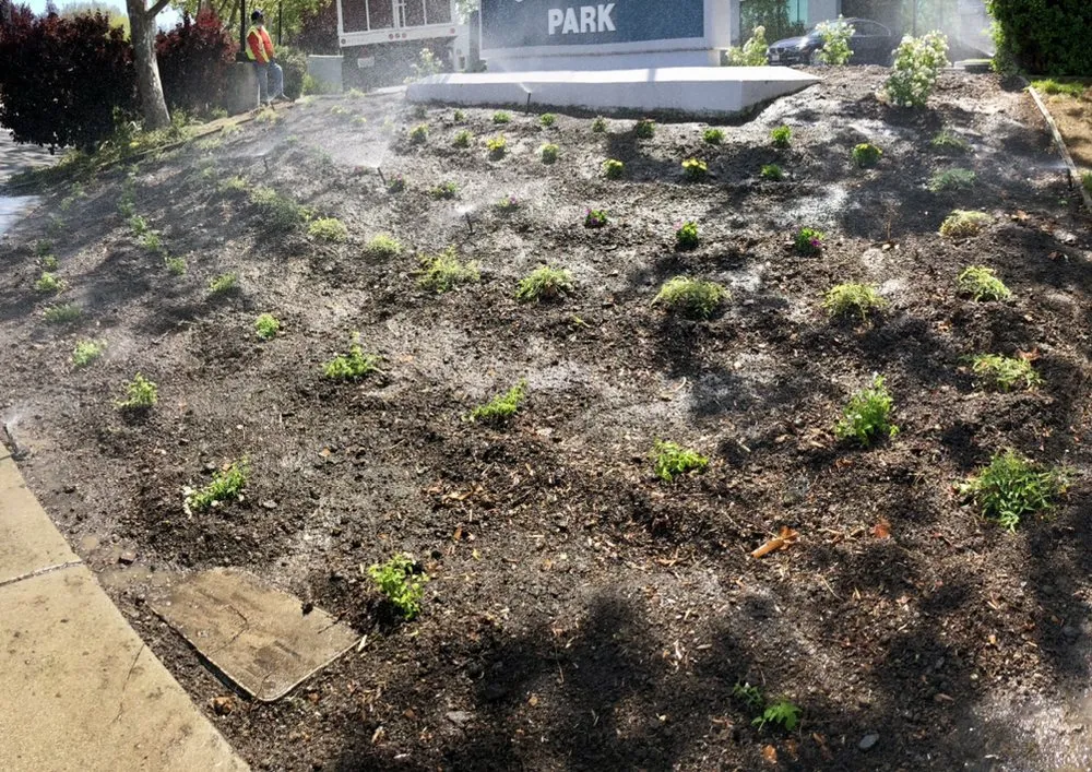 Professional outdoor landscaping in Fairfield, CA by Royal Vision Landscape