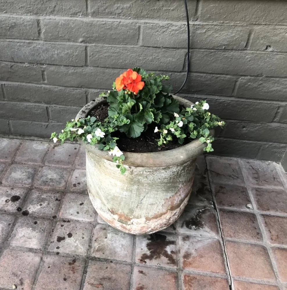 Professional lawn mowing service for outdoor upgrades in Fairfield, CA by Royal Vision Landscape