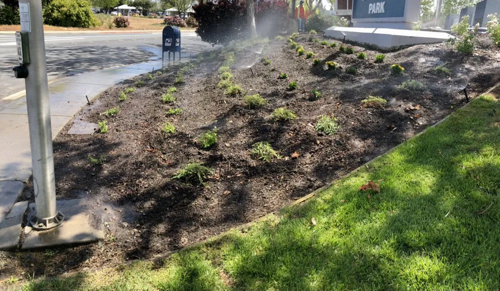 Trusted landscape design for year-round maintenance across Fairfield, CA - Royal Vision Landscape