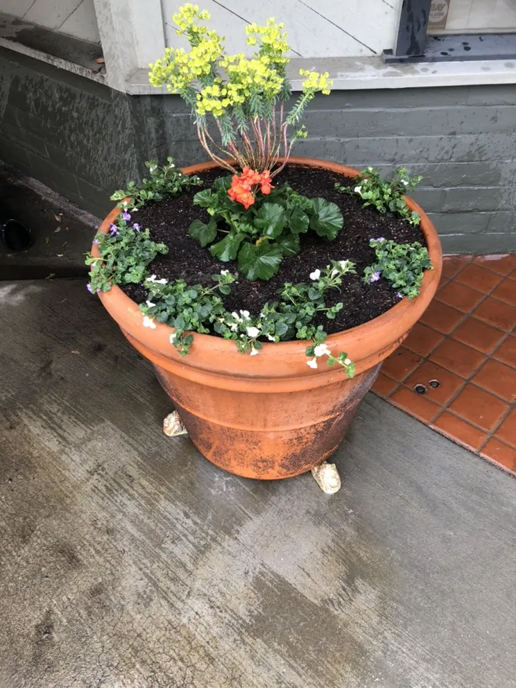 Professional yard maintenance experts serving Fairfield, CA - Royal Vision Landscape