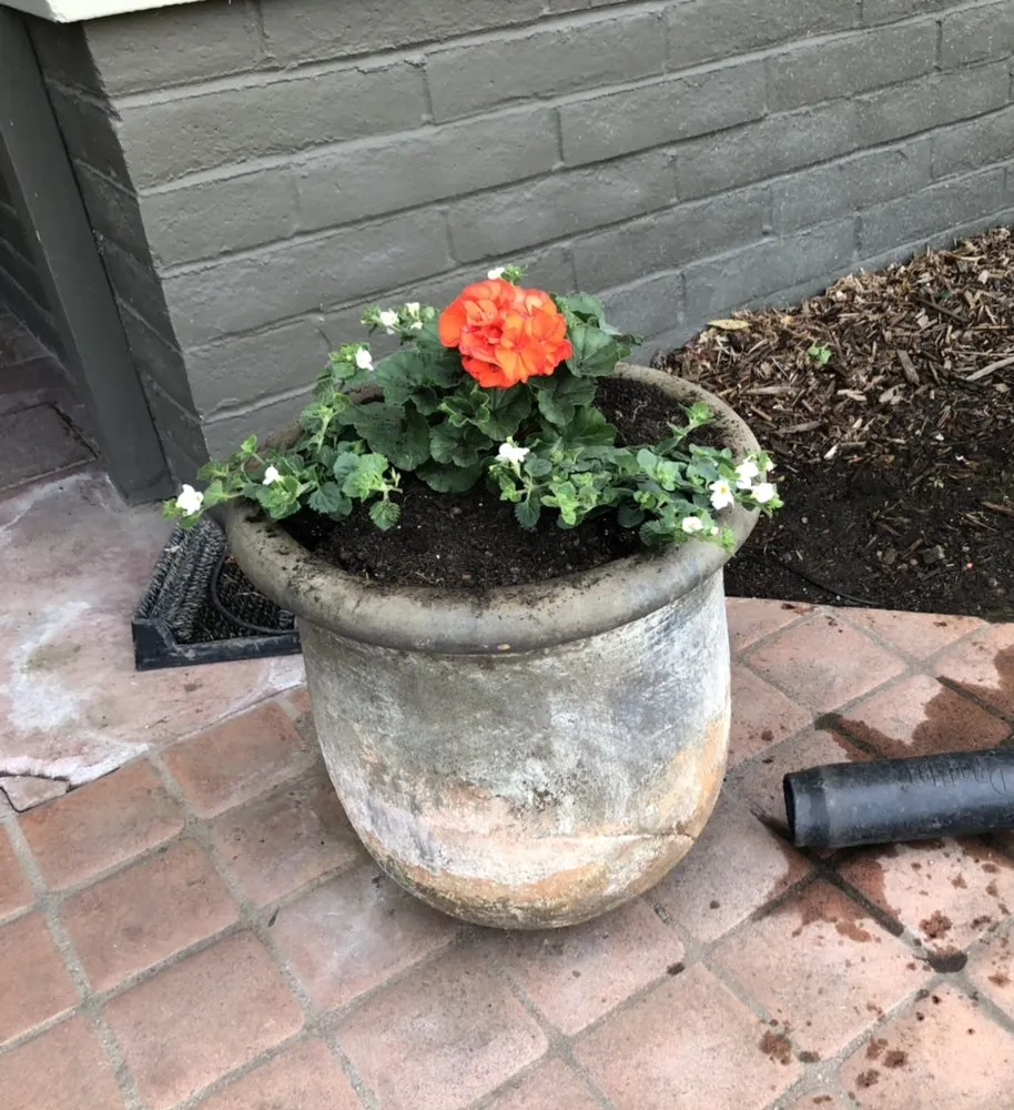 Expert landscape design for residential properties across Fairfield, CA - Royal Vision Landscape