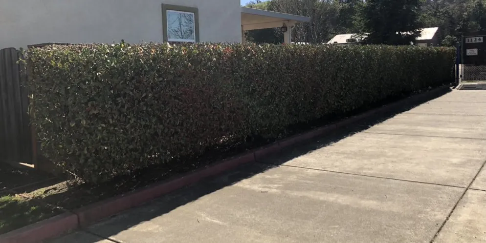 Top-rated landscape design with custom design across Fairfield, CA - Royal Vision Landscape