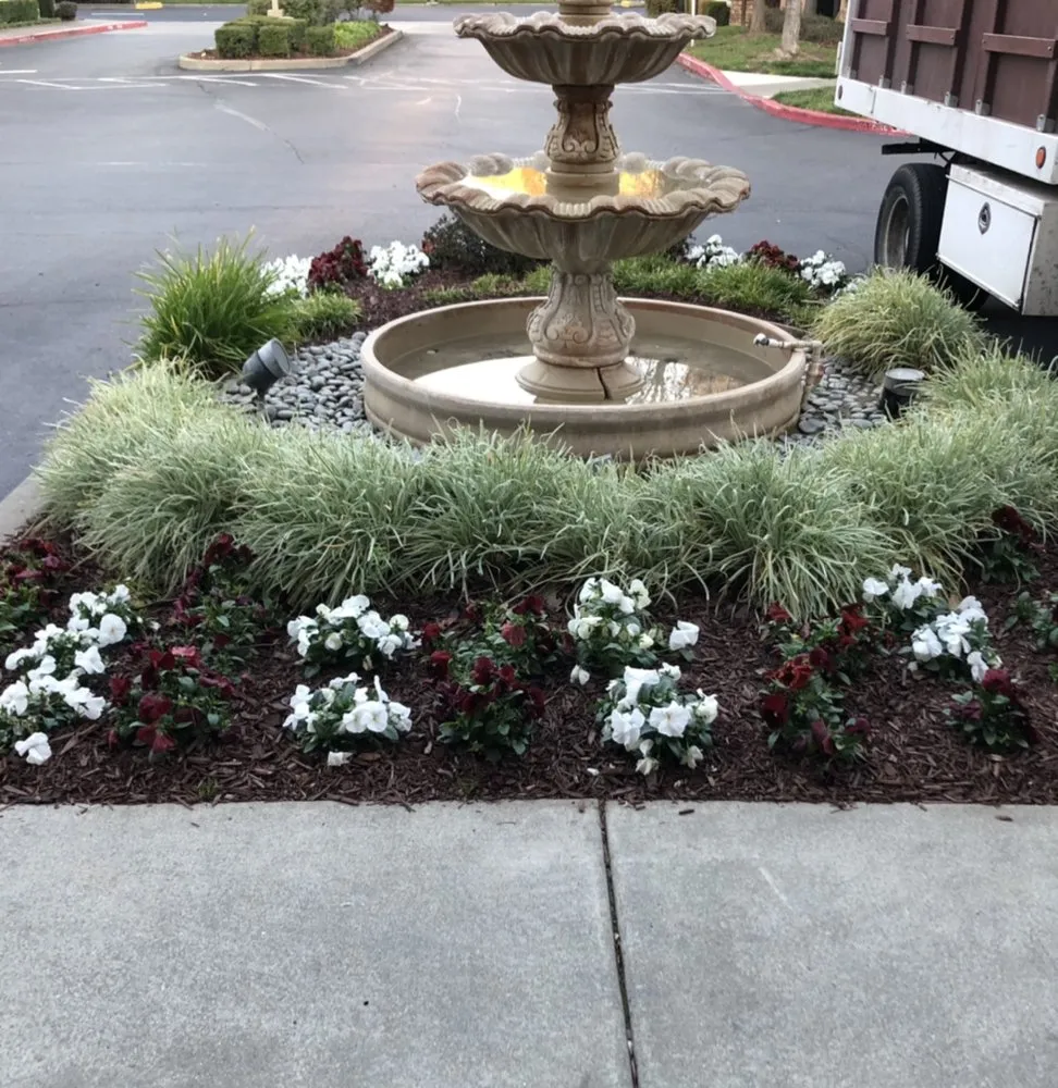 Professional yard maintenance in Fairfield, CA by Royal Vision Landscape