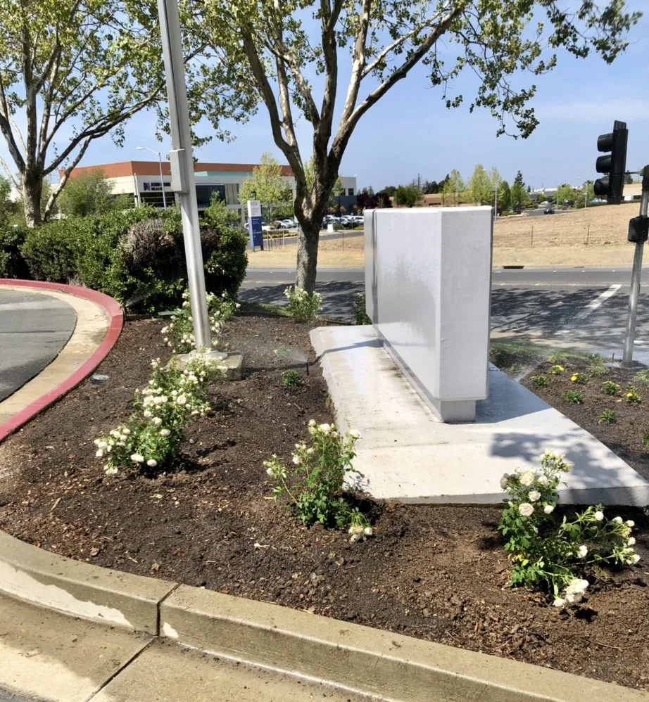 Affordable lawn care service in Fairfield, CA - Royal Vision Landscape