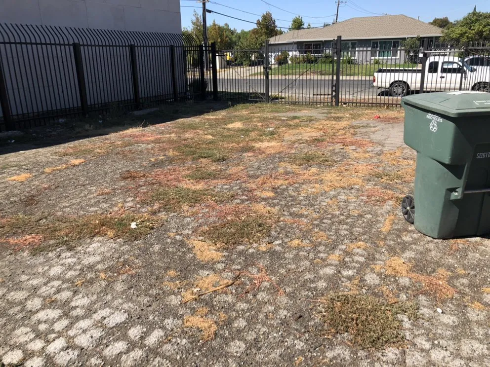 Affordable landscaping services near you in Fairfield, CA by Royal Vision Landscape