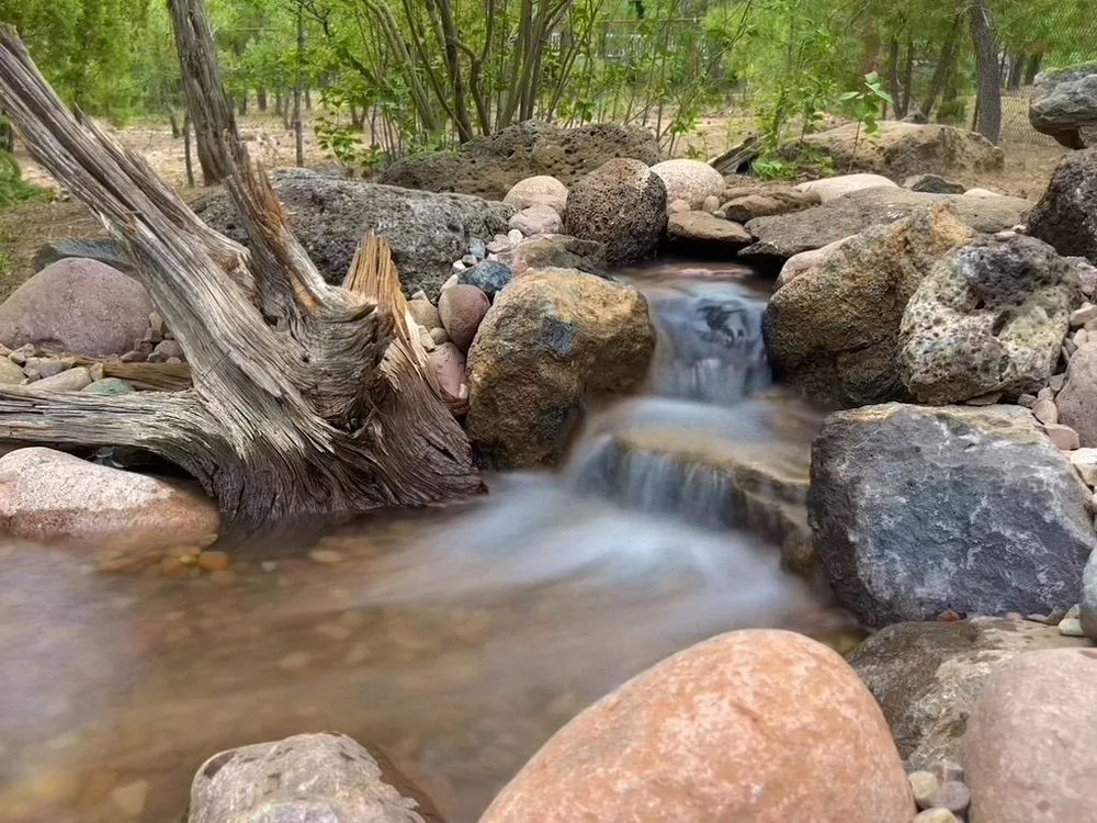 Reliable garden landscaping for beautiful yards across Snowflake, AZ - Royal Water Gardens