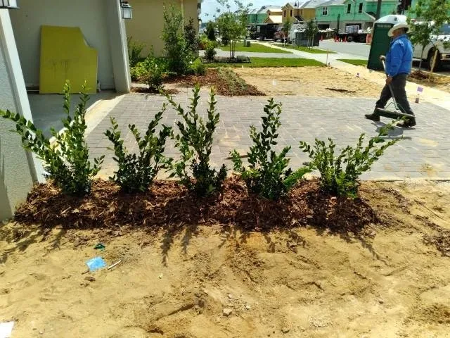 Top-rated yard cleanup service for residential properties across St. Cloud, FL - Royal Yards Landscape and Maintenance