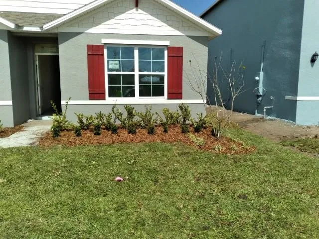 Professional residential landscaping in St. Cloud, FL by Royal Yards Landscape and Maintenance