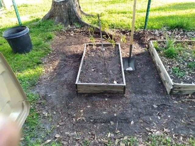 Custom outdoor landscaping experts serving St. Cloud, FL - Royal Yards Landscape and Maintenance