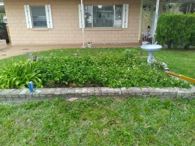 Trusted yard cleanup service for beautiful yards in St. Cloud, FL by Royal Yards Landscape and Maintenance