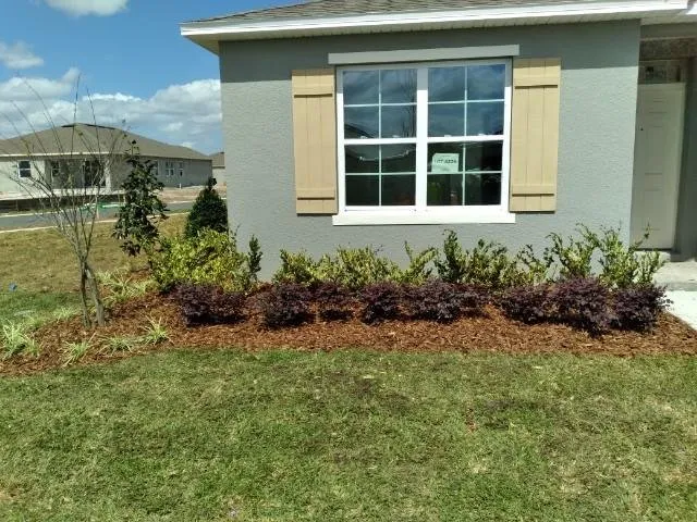 Trusted yard cleanup service for beautiful yards in St. Cloud, FL by Royal Yards Landscape and Maintenance