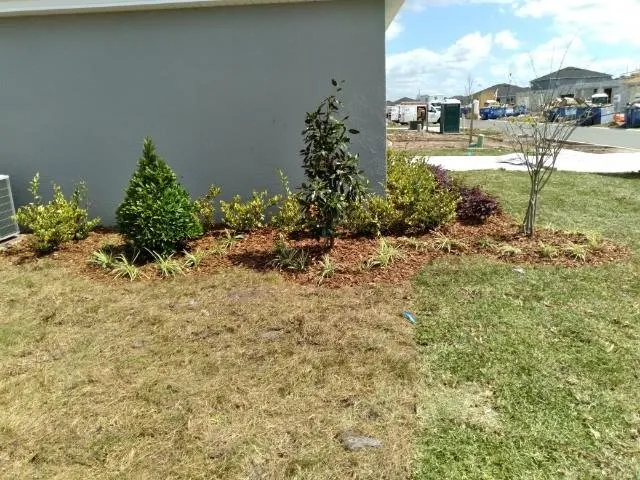 Custom landscape design experts serving St. Cloud, FL - Royal Yards Landscape and Maintenance