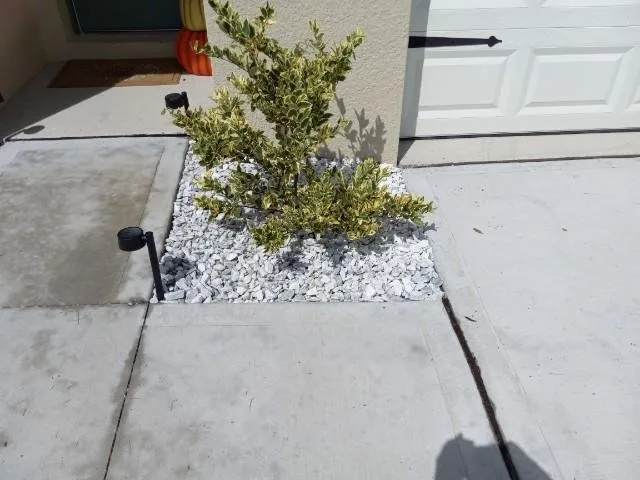 Custom lawn mowing service experts serving St. Cloud, FL - Royal Yards Landscape and Maintenance