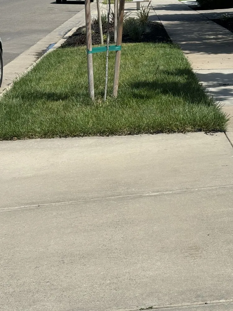 Reliable residential landscaping experts serving Merced, CA - Royale Green