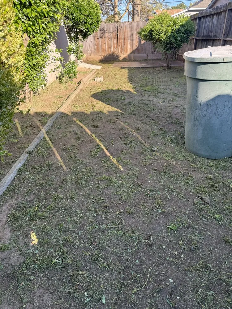 Expert yard maintenance experts serving Merced, CA - Royale Green
