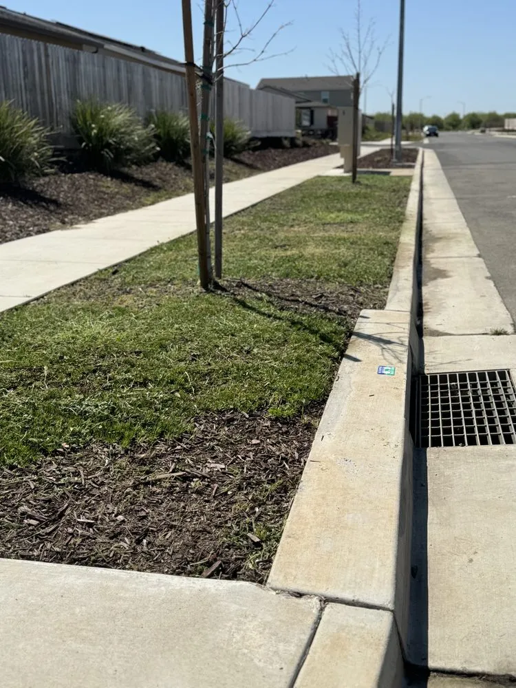 Reliable lawn mowing service near you across Merced, CA - Royale Green