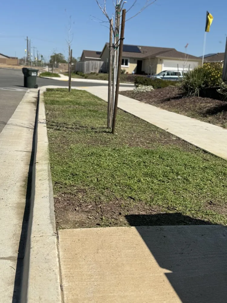 Custom landscape installation in Merced, CA by Royale Green