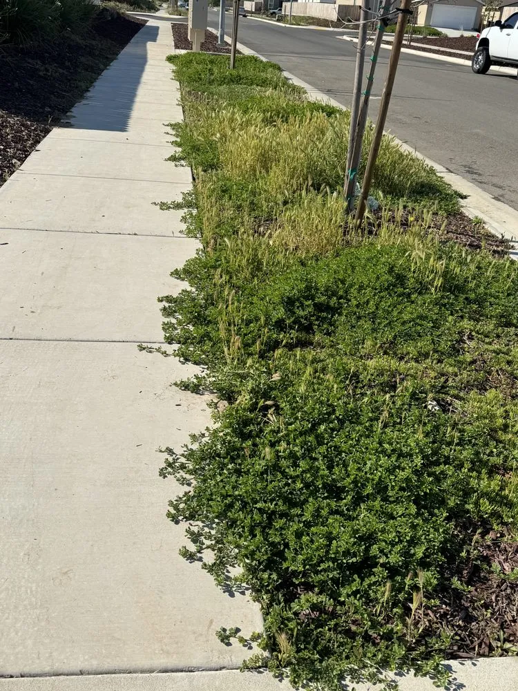 Reliable landscaping services for outdoor upgrades across Merced, CA - Royale Green