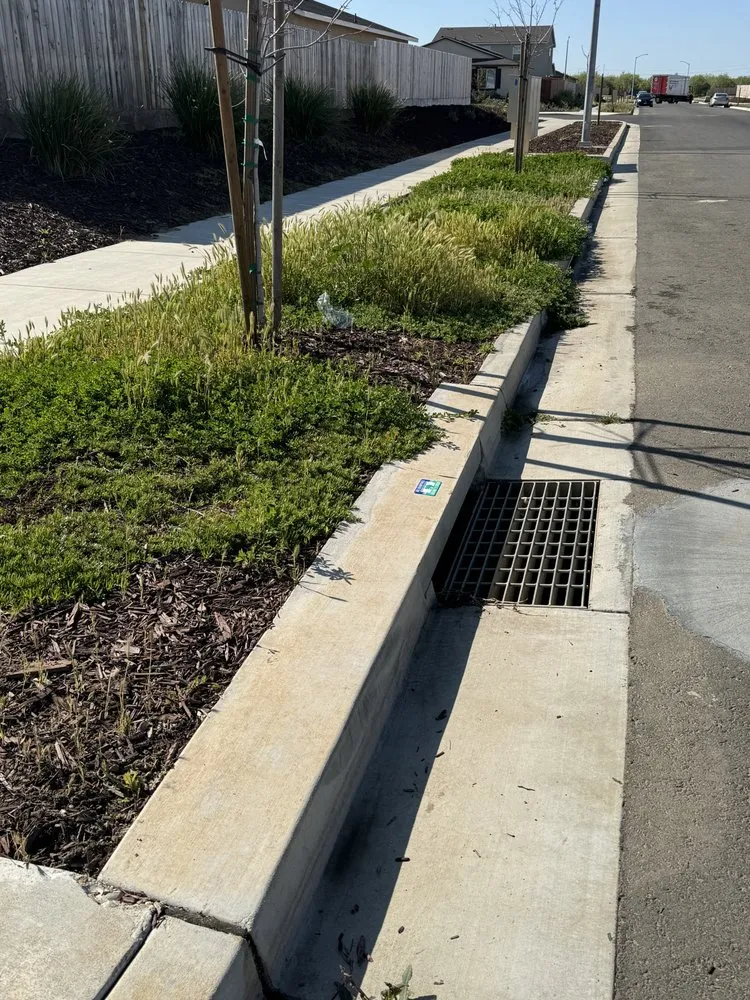 Local landscape design in Merced, CA by Royale Green