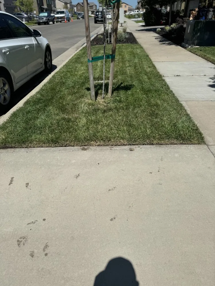 Trusted landscape design in Merced, CA by Royale Green