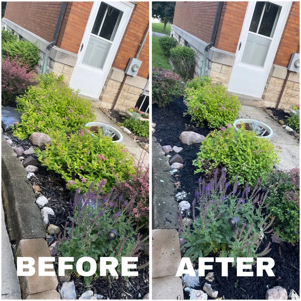 Professional yard maintenance experts serving Marion, IA - Royals Design and Landscaping