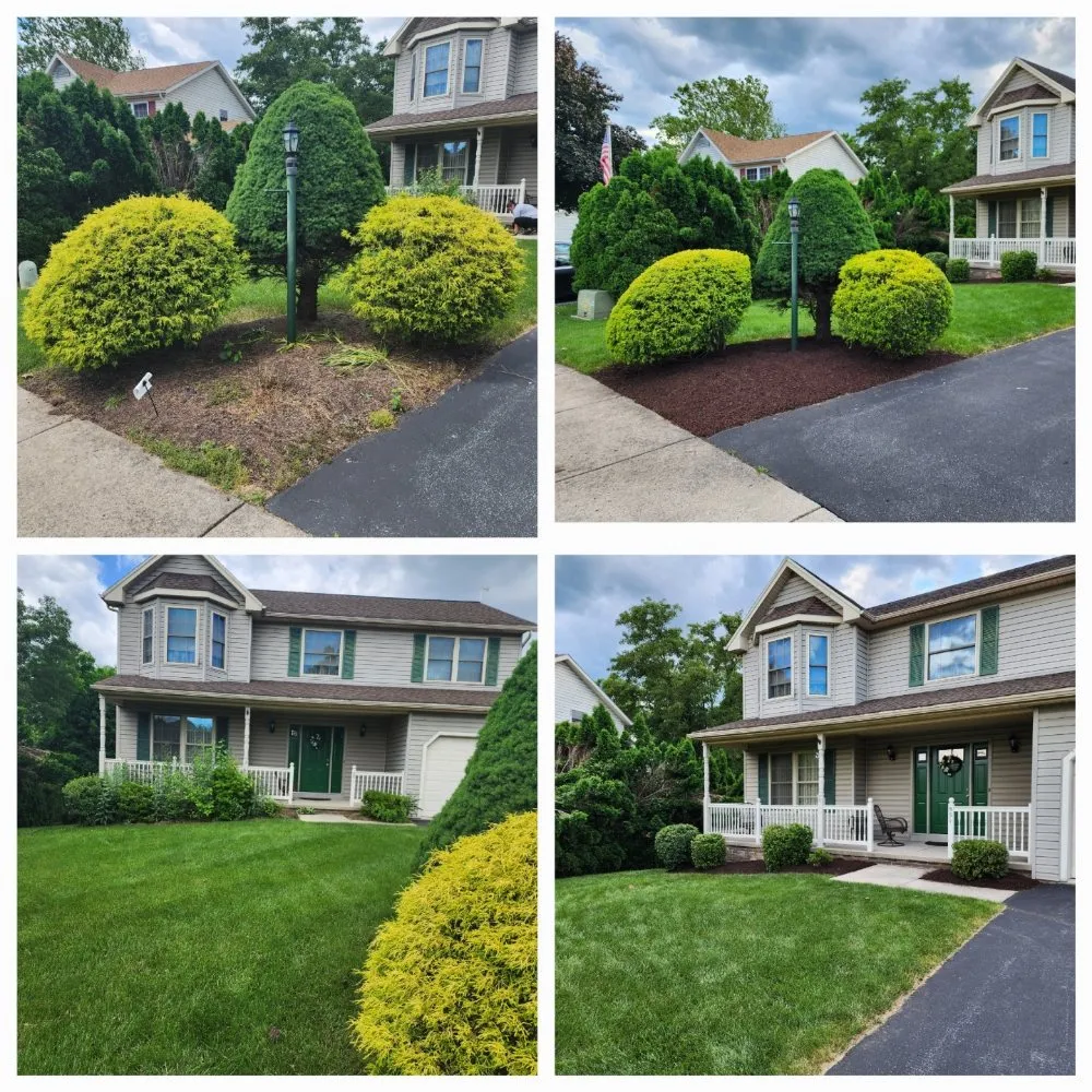 Trusted yard maintenance experts serving Harrisburg, PA - Royals Lawn Care