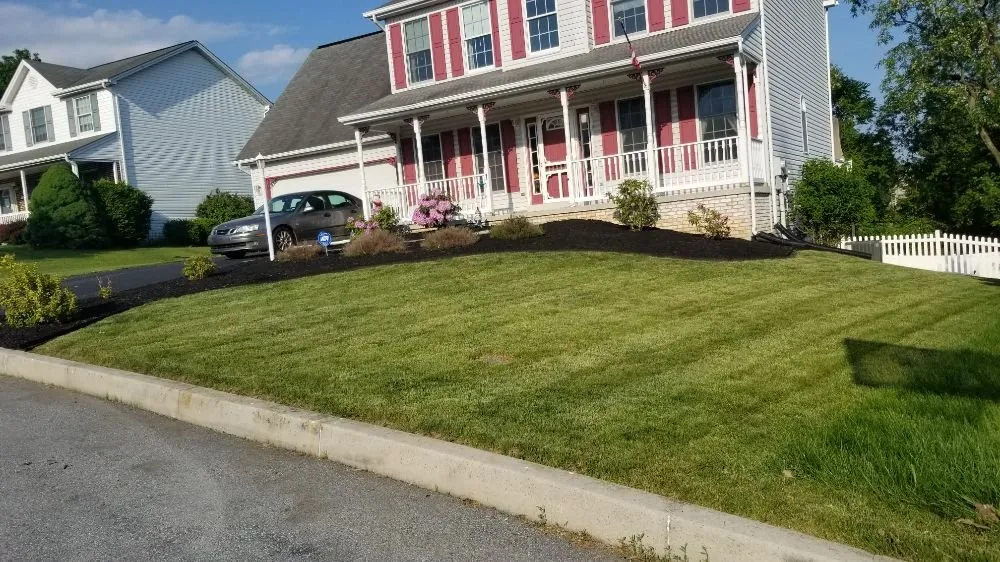 Top-rated yard cleanup service near you in Harrisburg, PA by Royals Lawn Care