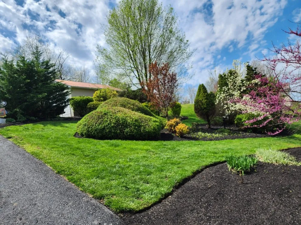 Reliable outdoor landscaping for outdoor upgrades across Harrisburg, PA - Royals Lawn Care