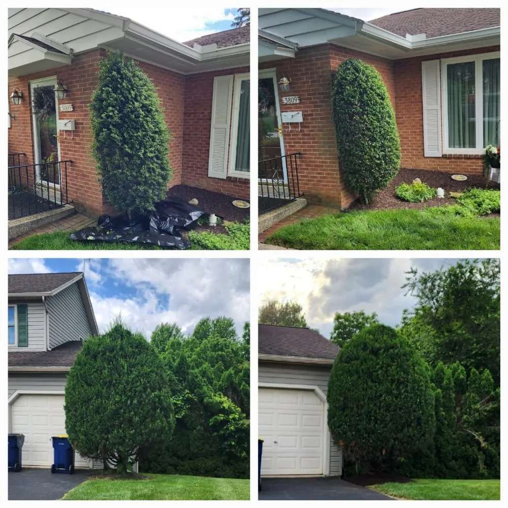 Local outdoor landscaping experts serving Harrisburg, PA - Royals Lawn Care