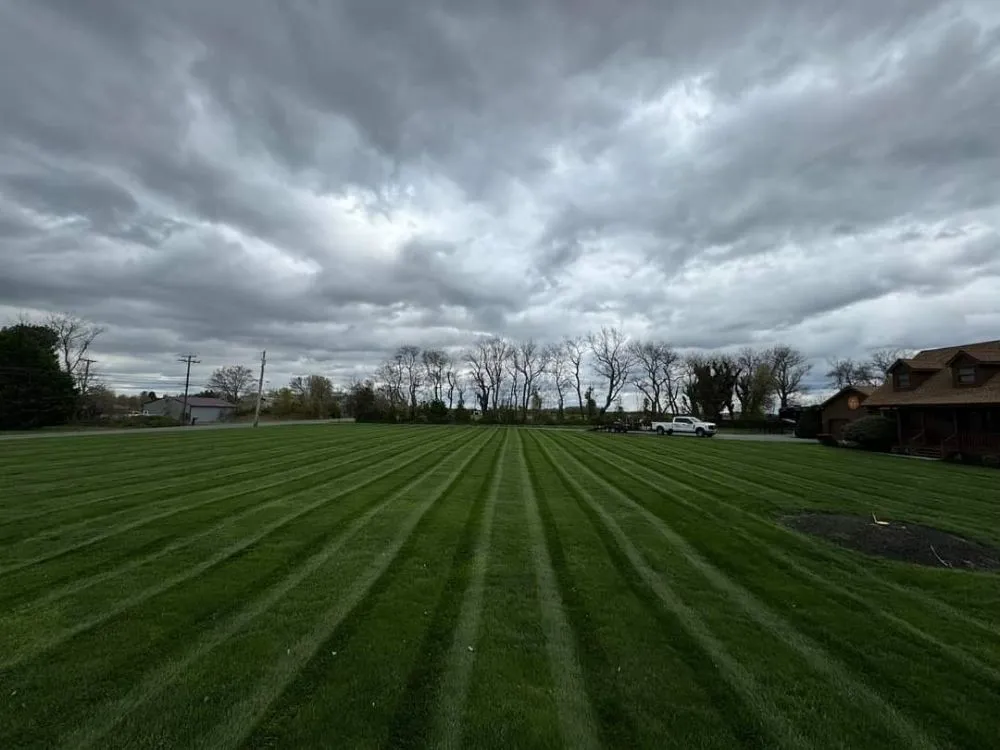 Reliable yard maintenance in Harrisburg, PA by Royals Lawn Care