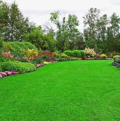 Royalscape Green Lawn care