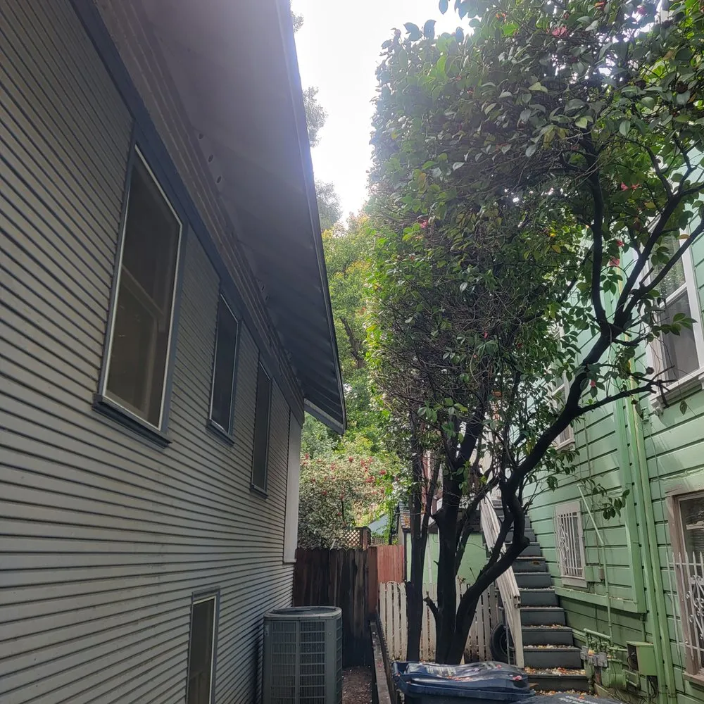 Reliable lawn mowing service in Sacramento, CA - Royalties Landscaping Maintenance