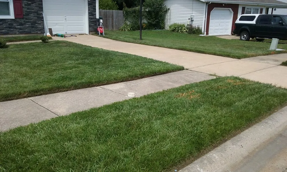 Top-rated lawn care service in Newark, DE - Royalty Cuts and Services