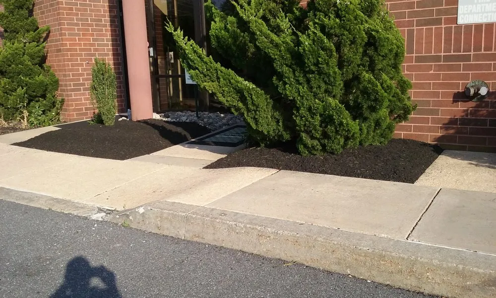 Expert landscape design for year-round maintenance in Newark, DE by Royalty Cuts and Services