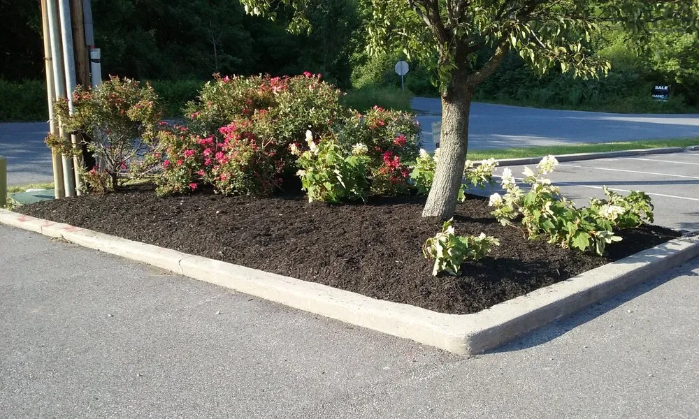 Custom lawn mowing service experts serving Newark, DE - Royalty Cuts and Services