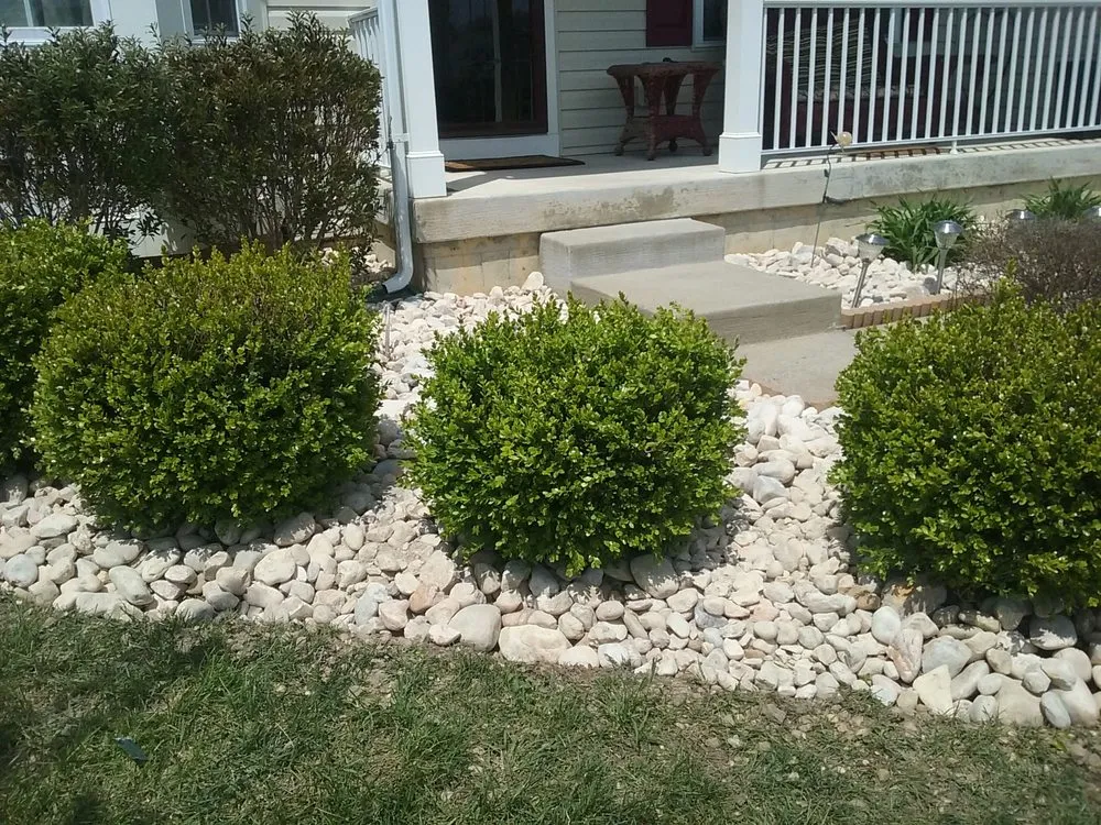 Trusted lawn mowing service experts serving Newark, DE - Royalty Cuts and Services