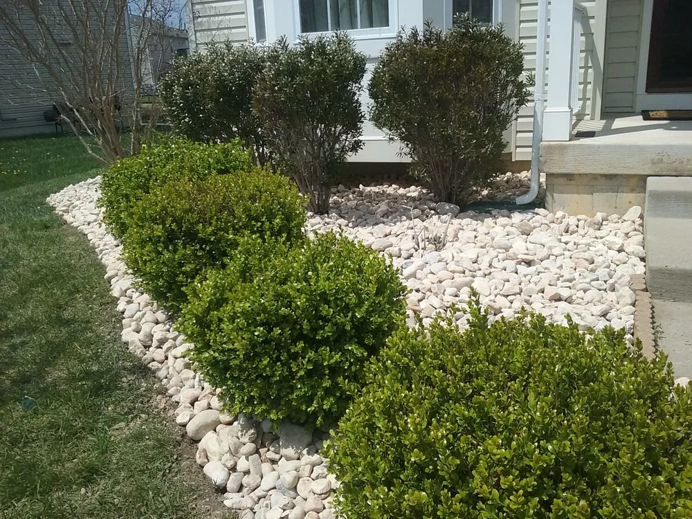 Top-rated landscaping services experts serving Newark, DE - Royalty Cuts and Services