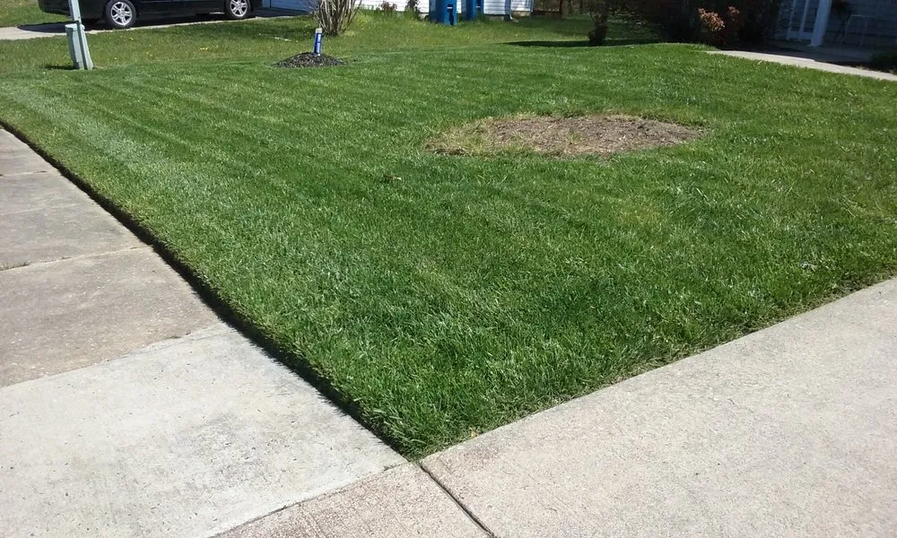 Local yard maintenance experts serving Newark, DE - Royalty Cuts and Services