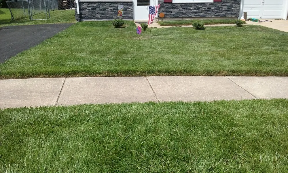 Local landscape installation experts serving Newark, DE - Royalty Cuts and Services