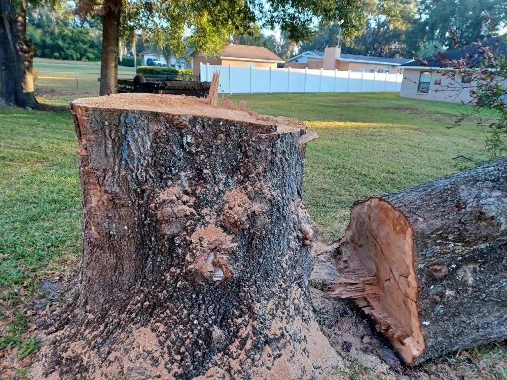 Trusted landscaping services near you across Ocala, FL - Royalty Cutz of Central Florida