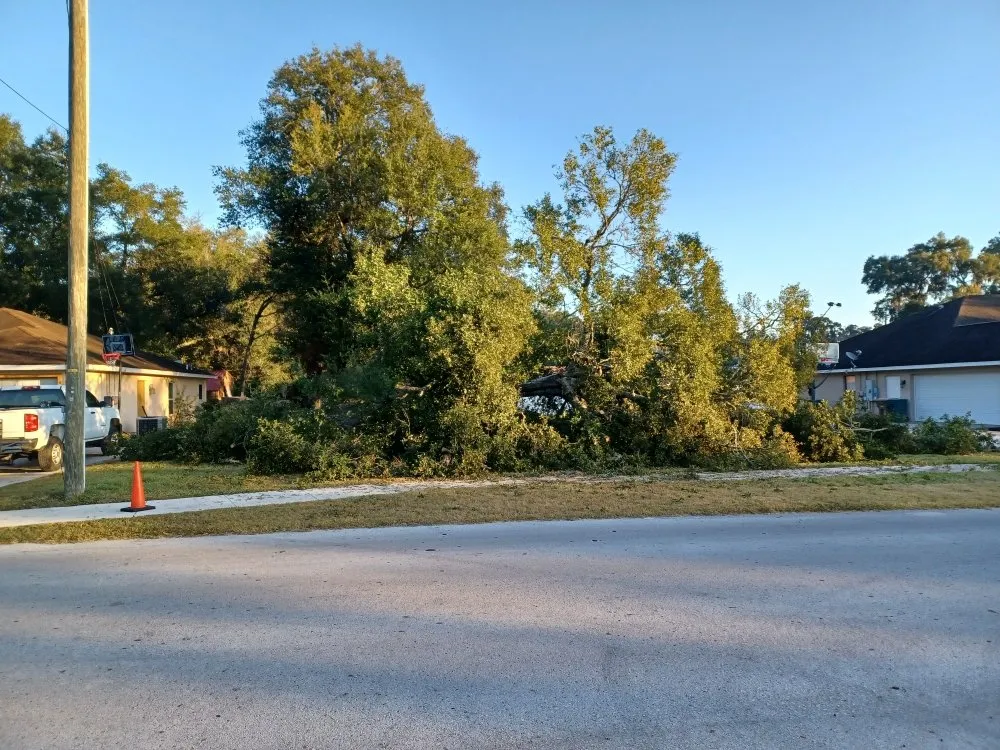 Reliable residential landscaping in Ocala, FL by Royalty Cutz of Central Florida