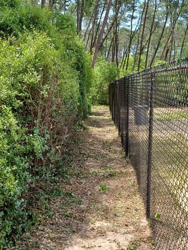 Trusted lawn care service for year-round maintenance across Ocala, FL - Royalty Cutz of Central Florida