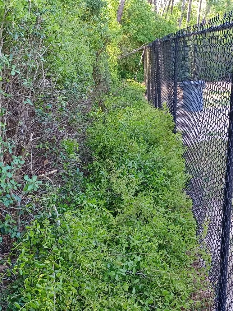 Expert residential landscaping in Ocala, FL - Royalty Cutz of Central Florida