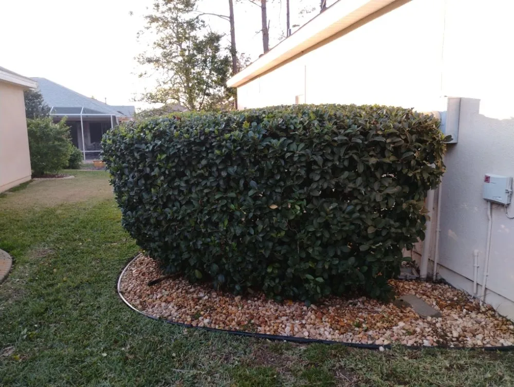 Professional landscaping services in Ocala, FL - Royalty Cutz of Central Florida