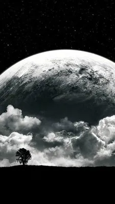 Royalty Handyman Services Logo