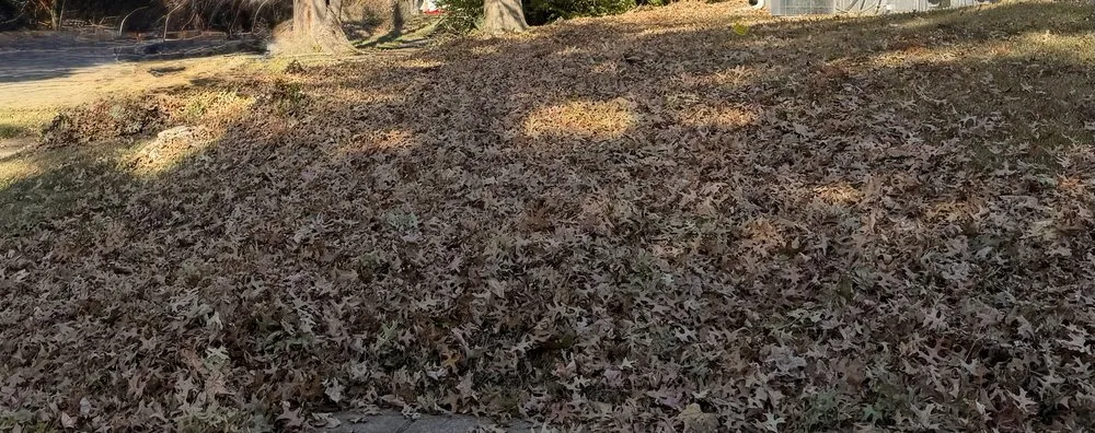 Reliable landscape design in Saint Charles, MO by Royalty Hauling & Lite Landscaping