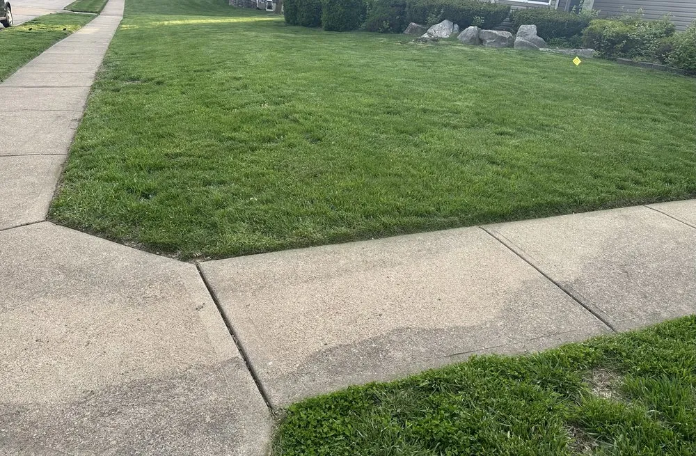 Affordable lawn care service in Saint Charles, MO by Royalty Hauling & Lite Landscaping