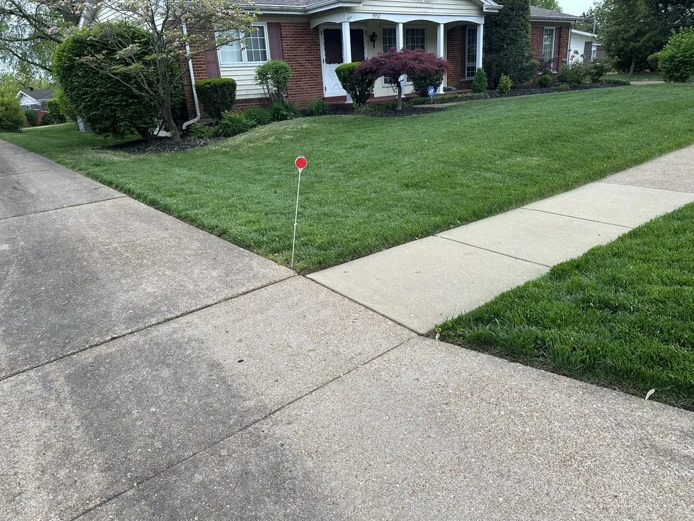 Expert yard cleanup service with custom design in Saint Charles, MO by Royalty Hauling & Lite Landscaping