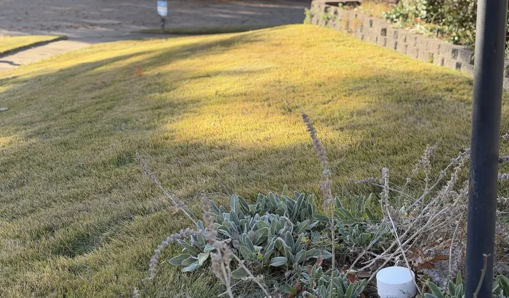 Expert garden landscaping in Saint Charles, MO - Royalty Hauling & Lite Landscaping