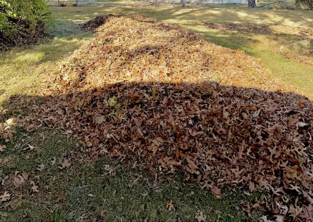 Custom garden landscaping in Saint Charles, MO by Royalty Hauling & Lite Landscaping